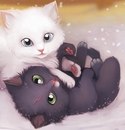 Фотография Елена Раст