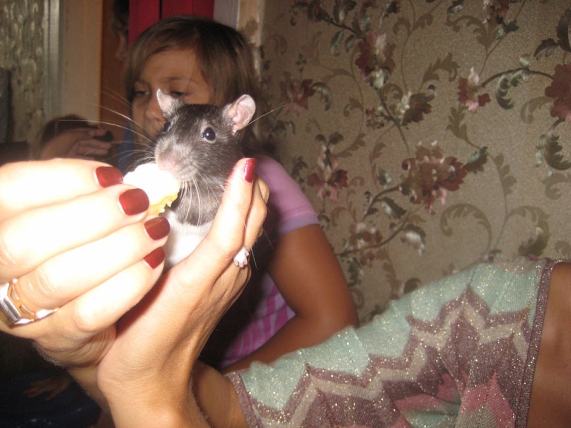 Софья Шемякина фотография #47