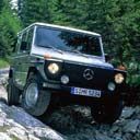 Толік Кондратюк фотография #1