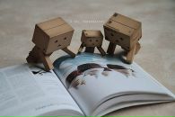 Аня Яремків фотография #28 (источник - https://vk.com/id85786187)