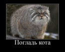 Фотография Matveev Alexandr