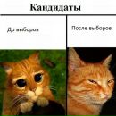 Мія Семеляк фотография #14 (источник - https://vk.com/id154767866)