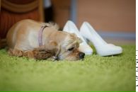 Андрій Жицький фотография #8 (источник - https://vk.com/id7424864)