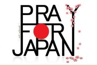 Фотография Pigeon Mari