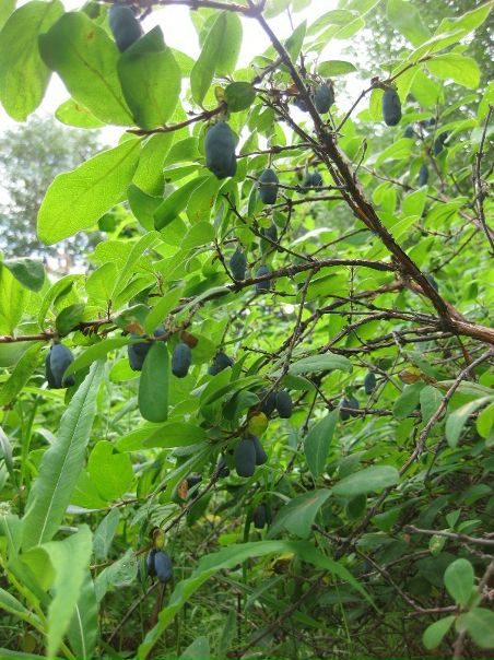 Дмитрий Ушковский фото №2