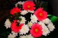 Фотография Кожевниковой Ольги