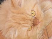 Фотография Сергеева Артёма