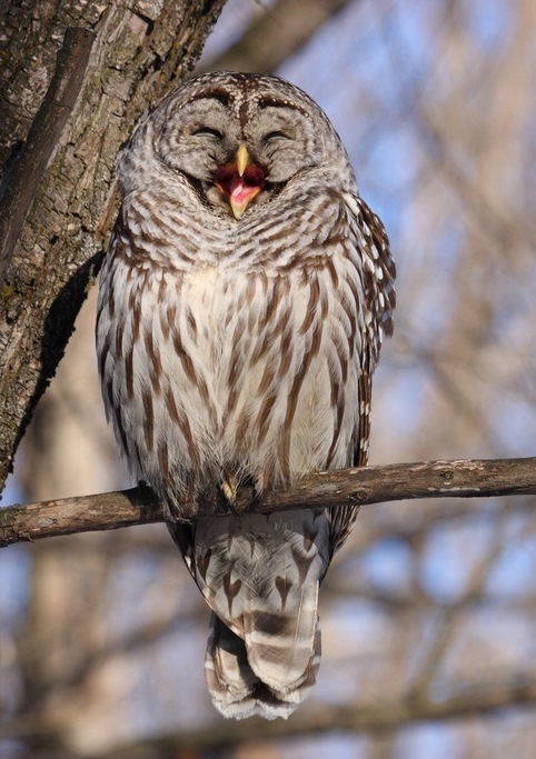 Альберт Эйнштейн фотография #8