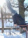 Марік Яворський фотография #50 (источник - https://vk.com/id156096896)