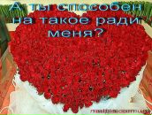 Анічка Альохіна фотография #33 (источник - https://vk.com/id59126344)