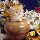 Фотография Гончаровой Алёны