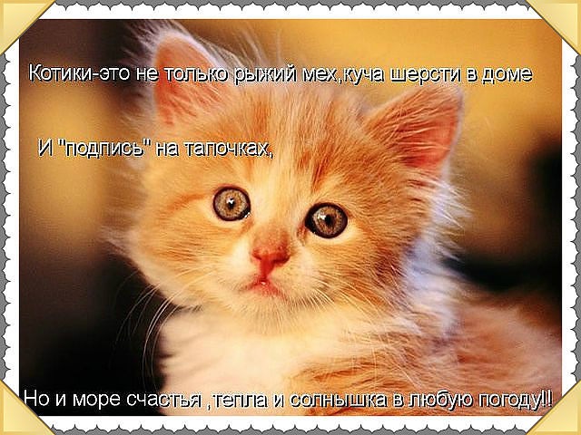 Эля Остапенко фотография #25