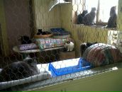 Ліда Omeltchouk фотография #19 (источник - https://vk.com/id19173680)