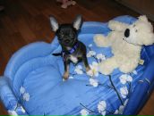 Фотография Sergeevna Marina