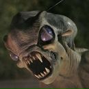 Фотография Tokareff Willy