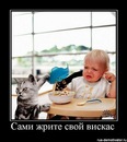 Александр Ларионцев фотография #49 (источник - https://vk.com/id135941153)