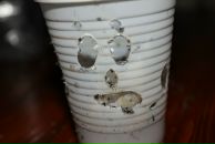 Олег Луців фотография #38 (источник - https://vk.com/id33723803)