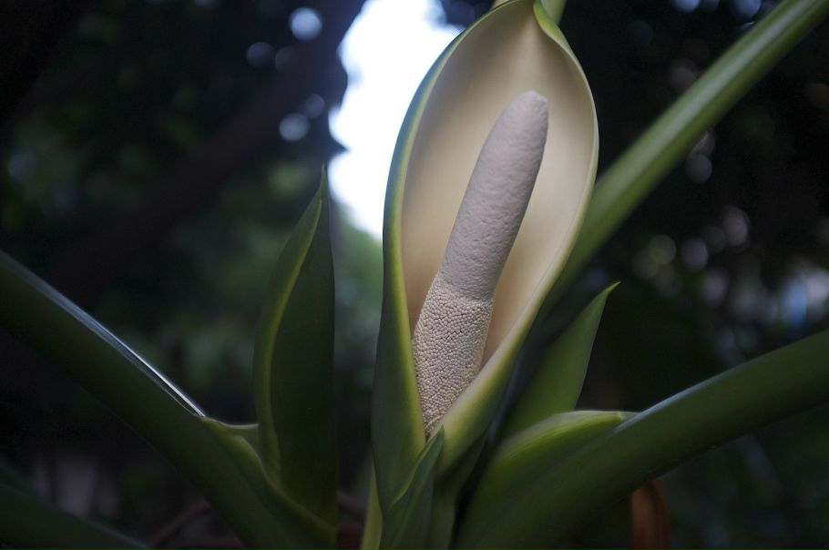 Елена Постнова фото №48