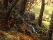 Коля Левківський фотография #39 (источник - https://vk.com/id75113735)