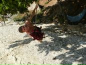 Фотография Огаркова Семы