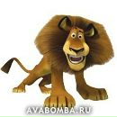 Фотография Стас Соломчак