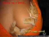 Іра Лазарева фотография #22 (источник - https://vk.com/id42730522)