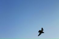 Дарья Базанова фотография #10 (источник - https://vk.com/id8874885)