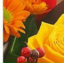 Наталія Лукянова фотография #33 (источник - https://vk.com/id44789674)