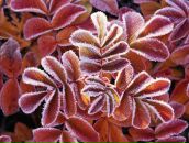 Фотография Матушкина Романа