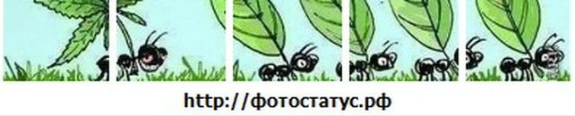 Андрій Колос фотография #46 (источник - https://vk.com/id85162245)