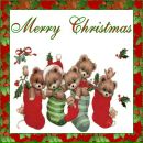 Вікторія Герук фотография #15 (источник - https://vk.com/id70765721)