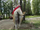 Фотография Борискина Виталия