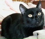 Фотография Казбановой Натальи