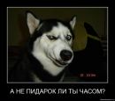 Фотография Саша Львов