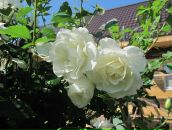 Фотография Капуриной Ольги