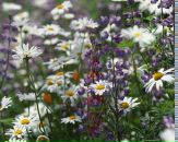 Фотография Семеновой Татьяны