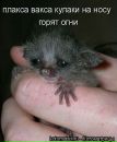 Фотография Станкевич Анны