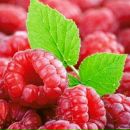 Наталя Кіселик фотография #45 (источник - https://vk.com/id159678116)