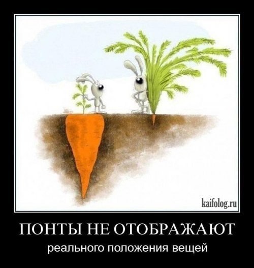 №14, Сергей Шелюков №14, Сергей Шелюков