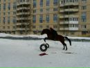 Фотография Дьячковой Елены