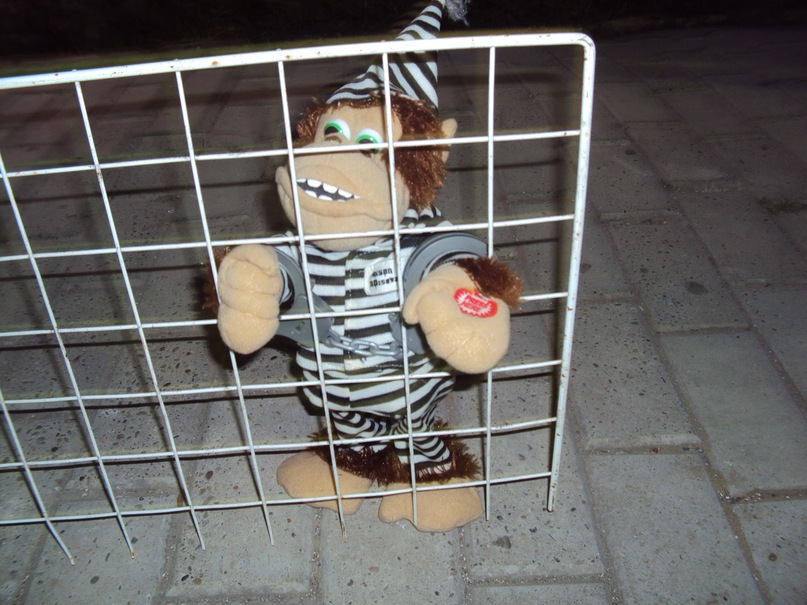 Tim 2k фотография #4