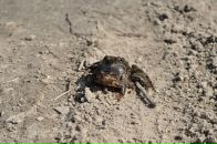 Андрюха Кіптель фотография #47 (источник - https://vk.com/id3545054)