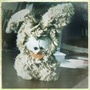 Фотография Малкин Юлии