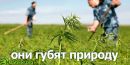 Віталій Волинець фотография #38 (источник - https://vk.com/id28778843)