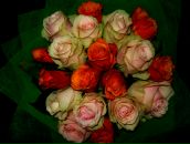 Фотография Гавриловой Юлии