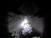 Дмитрий Гомон фотография #21 (источник - https://vk.com/id833603)