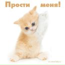 Фотография Прости Прости