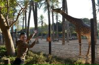 Іра Фітьо (Луцька) фотография #26 (источник - https://vk.com/id11581145)