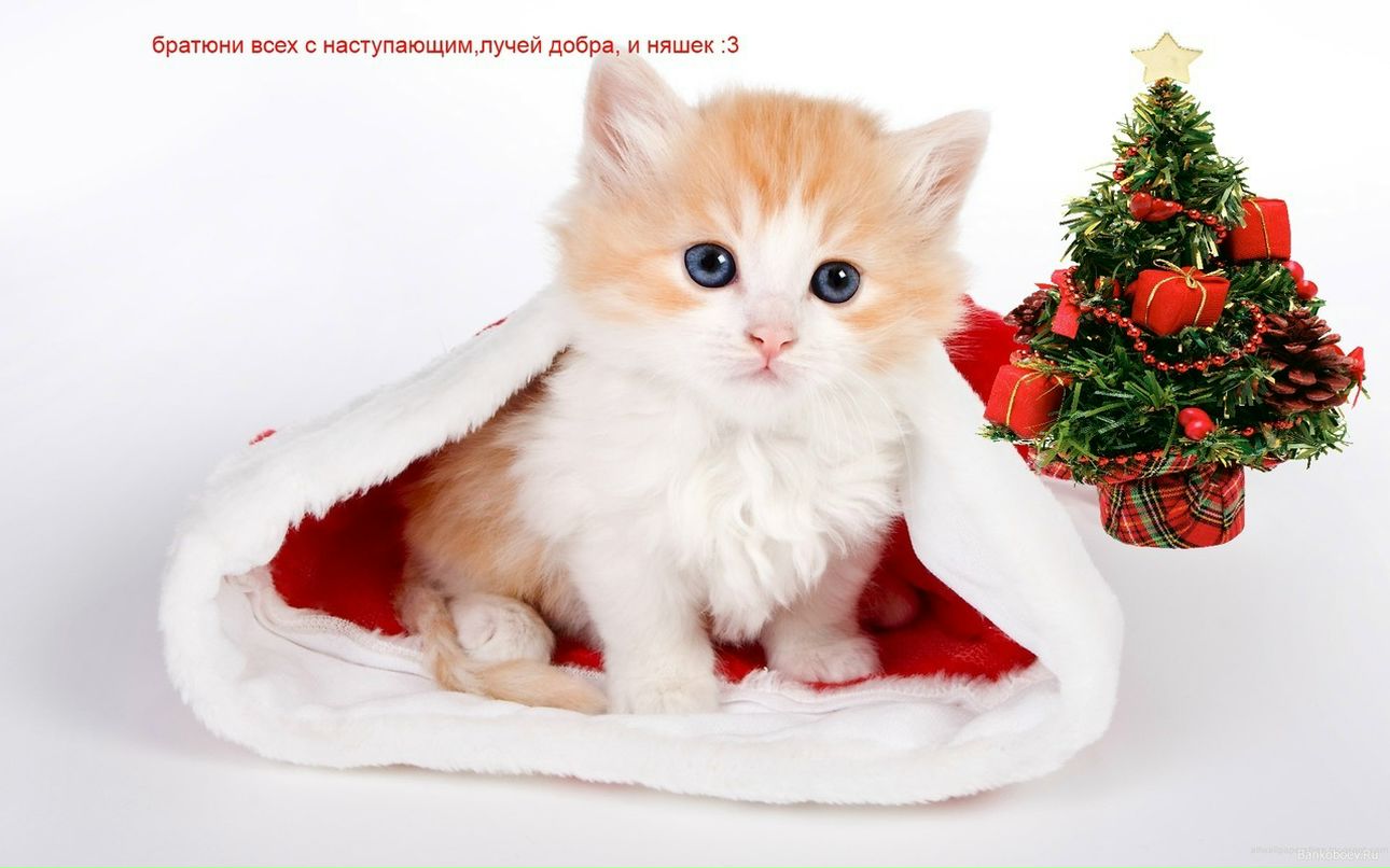 Артём Репин фотография #24