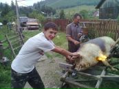 Андрій Гребеняк фотография #12 (источник - https://vk.com/id103847497)